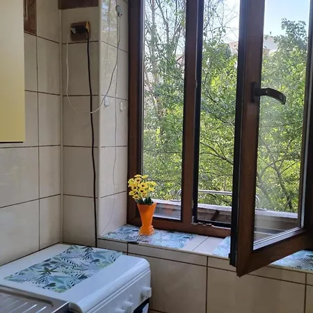 Feeria National Parc 布加勒斯特